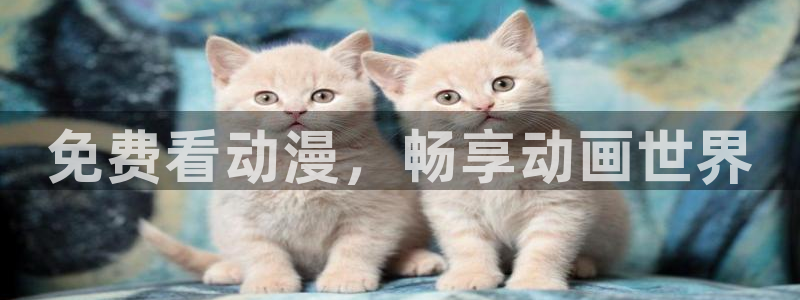 风车动漫(p)专注动漫的：免费看动漫，畅享动画世界