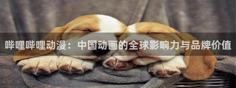 风车动漫专注动漫的门户网站入口：哔哩哔哩动漫：中国动画的全球影响力与品牌价值