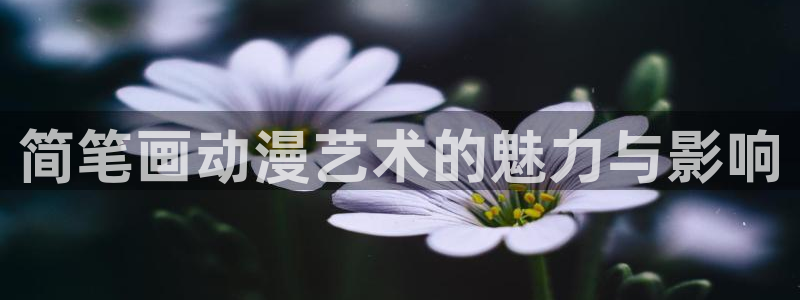 muvluvate风车动漫：简笔画动漫艺术的魅力与影响
