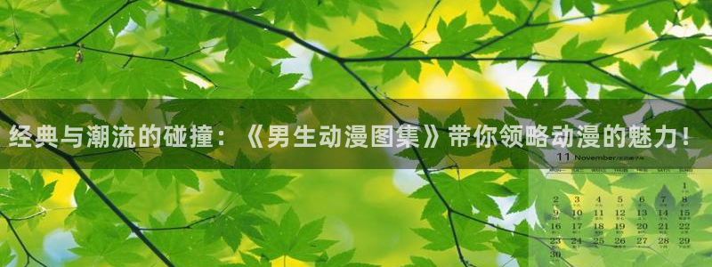 风车动漫高清在线看：经典与潮流的碰撞：《男生动漫图集》带你领略动漫的魅力！