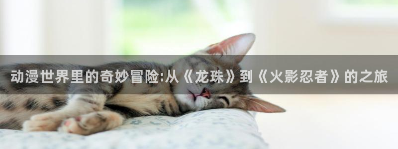 风车动漫-专注动漫的门户网站：动漫世界里的奇妙冒险:从《龙珠》到《火影忍者》的之旅