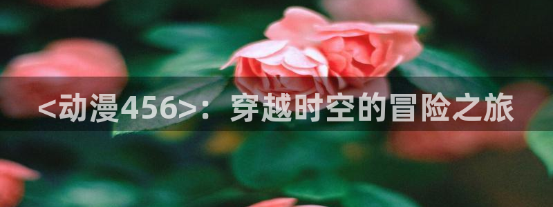 风车动漫旧版下载：<动漫456>：穿越时空的冒险之旅