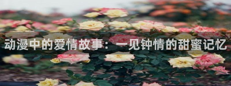 宝可梦地平线风车动漫：动漫中的爱情故事：一见钟情的甜蜜记忆