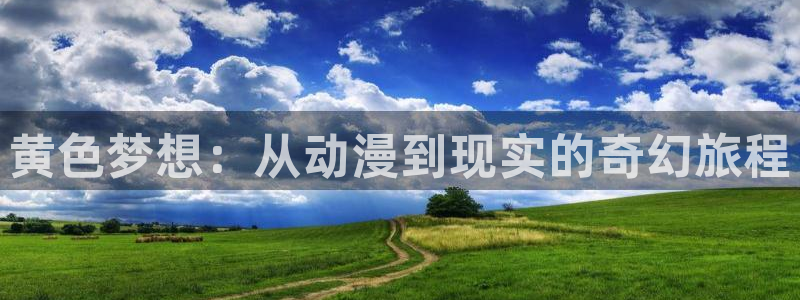 银魂风车动漫：黄色梦想：从动漫到现实的奇幻旅程