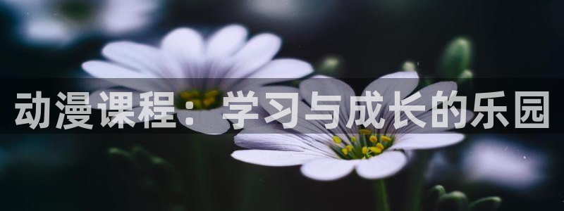 风车动漫在线看免费：动漫课程：学习与成长的乐园
