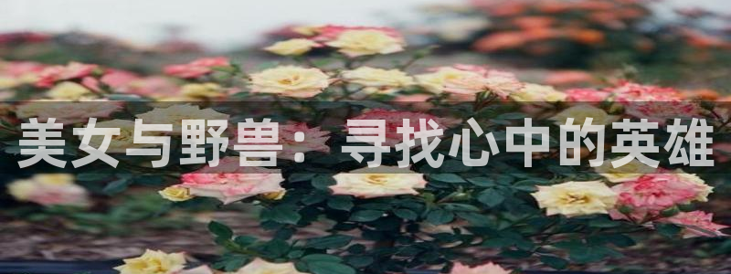 风车动漫网页版：美女与野兽：寻找心中的英雄