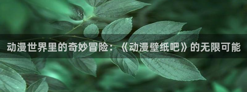 风车动漫里番