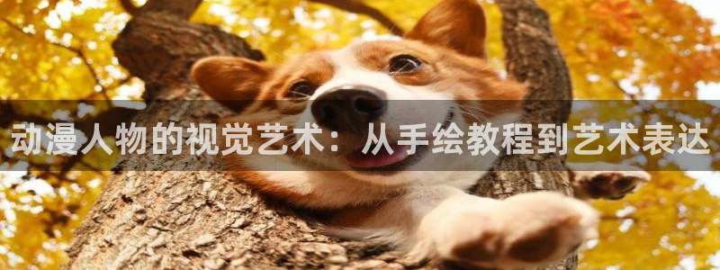 a风车动漫：动漫人物的视觉艺术：从手绘教程到艺术表达