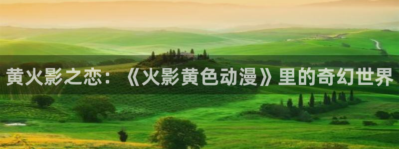 棺姬嘉依卡风车动漫
