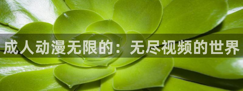 2026风车动漫：成人动漫无限的：无尽视频的世界