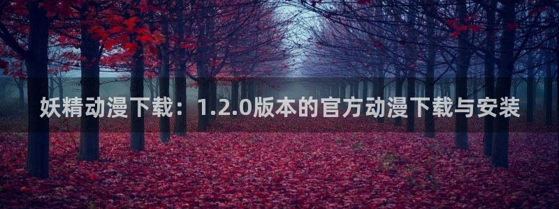 风车动漫间谍过家家