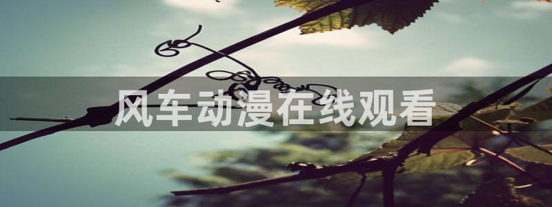 fen风车动漫