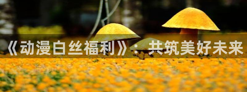 风车动漫网下载最新