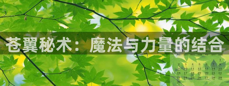 风车动漫网在线动漫观看：苍翼秘术：魔法与力量的结合