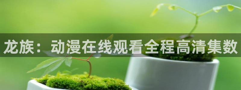 风车动漫官网在线观看入口