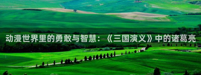 樱花风车动漫官网入口：动漫世界里的勇敢与智慧：《三国演义》中的诸葛亮