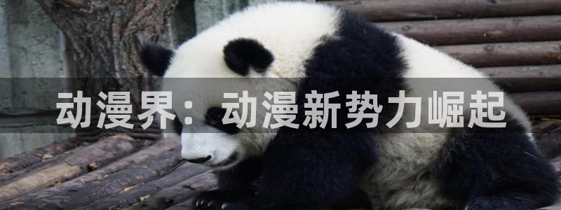 风车动漫美国剧：动漫界：动漫新势力崛起