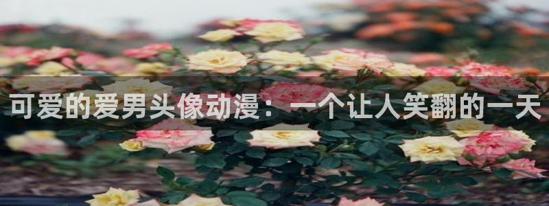 命运之夜新章风车动漫：可爱的爱男头像动漫：一个让人笑翻的一天