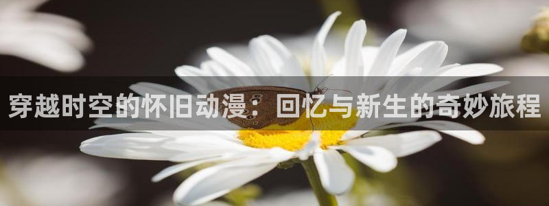 风车动漫无广告